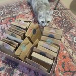 30 günlük Ramazan kadın dayanışma paketlerinden bir kare